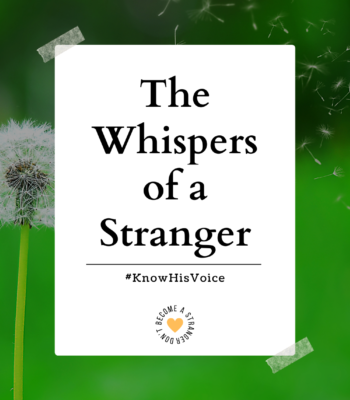 the whispers of a stranger